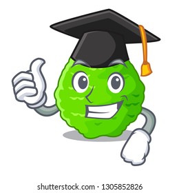 Graduation kaffir lime slices on cartoon plate