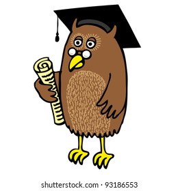 Graduation Owl