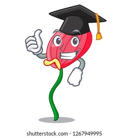 Graduation pink anthurium flower isolated on mascot