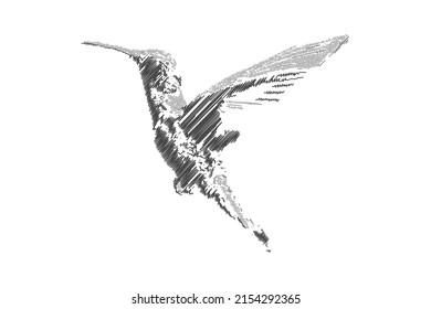 graffiti art of a hummingbird in flight. Suitable for posters of clothes or the like.