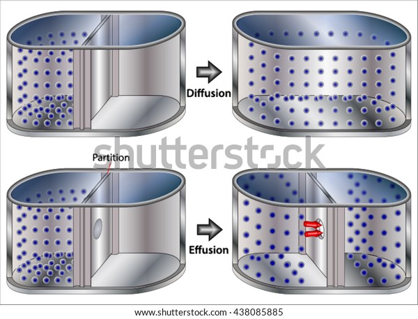 Grahams Law Gas Diffusion Effusion Stock Vector (Royalty Free) 438085885