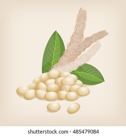 Grain Amaranth Flowers And Leaves. Vector Illustration.