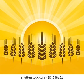 grain background with sun rays