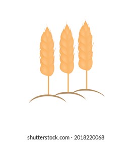 Grain or barley flat design for icon