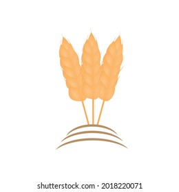 Grain or barley flat design for icon