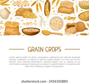 Grain Cereal Banner Design with Natural Crop Harvest Vector Template