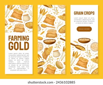 Grain Cereal Banner Design with Natural Crop Harvest Vector Template