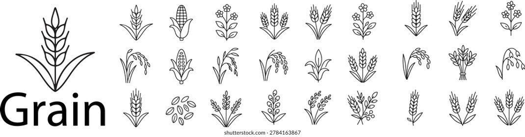 Grain and Cereal Crops Line Icon Set – Minimalist Vector Icons for Wheat Ear, Corn Cob, Rice Paddy, Oat Stalk, Barley Harvest, and Agricultural Agriculture Symbols