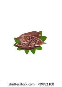 Grain of cocoa on a white background