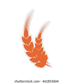 Grain concept represented by wheat ears icon. Isolated and flat illustration