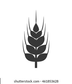 Grain concept represented by wheat ears icon. Isolated and flat illustration
