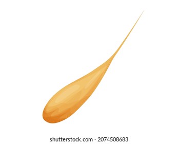 Grain crops of yellow wheat. Wheat flat vector illustration isolated on white background.