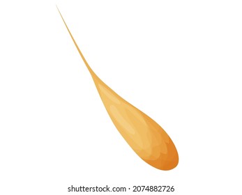 Grain crops of yellow wheat. Wheat flat vector illustration isolated on white background.