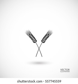 Grain ear icon and a place for text. Vector illustration