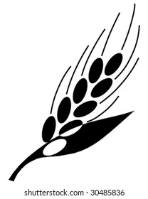grain ear vector illustration