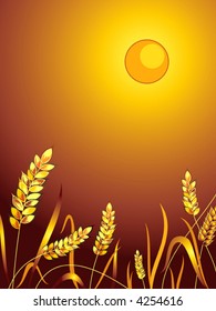   Grain ears. Background.