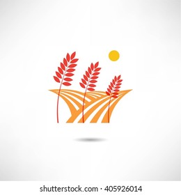 grain field icon