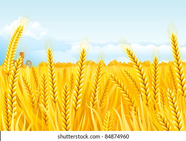 70,480 Wheat field Stock Illustrations, Images & Vectors | Shutterstock