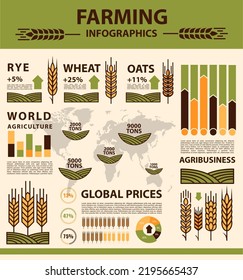 Producción de granos, infografía agrícola sobre trigo, centeno y avena, gráficos vectoriales. Diagrama y gráficos de agricultura agrícola y agrícola sobre grano mundial, información y estadísticas sobre trigo y centeno