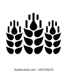 grain icon isolated sign symbol vector illustration - high quality black style vector icons
