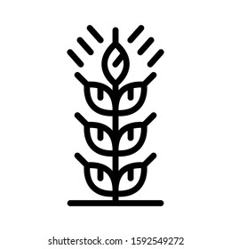 grain icon isolated sign symbol vector illustration - high quality black style vector icons
