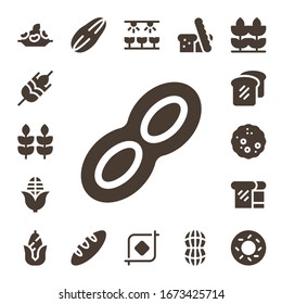 grain icon set. 17 filled grain icons.  Simple modern icons such as: Rice, Wheat, Peanut, Corn, Bread, Seed, Farm, Crop, Bagel