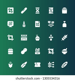 grain icon set. Collection of 25 filled grain icons included Bread, Wheat, Corn, Rice, Crop, Peanut, Protein, Seed, Farm, Sack, Field, Seeds, Beans, Sandclock