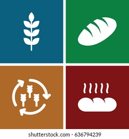 Grain icons set. set of 4 grain filled icons such as wheat, harvest