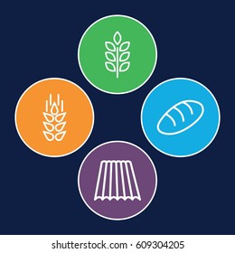 Grain icons set. set of 4 grain outline icons such as wheat, field