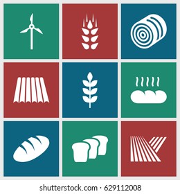 Grain icons set. set of 9 grain filled icons such as wheat, field, hay, bread