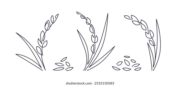 Grain line set. One line drawing of rice, wheat, barley, rye. Healthy nutrition. Organic farm food. Element for label, menu, package. Cereal porridge, vegan milk, gluten free flour. Vector isolated