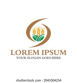 grain logo , agriculture logo vector