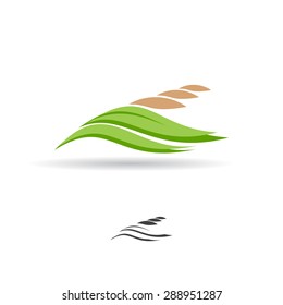 Grain logo. Wheat symbol. Vector illustration.