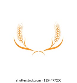 Grain on white background.  Floral frame. Vector grain. Floral wreath. Flower wreath. Harvest festival. Wheat field. Wheat crop.