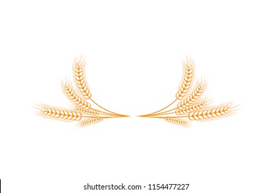 Grain on white background.  Floral frame. Vector grain. Floral wreath. Flower wreath. Harvest festival. Wheat field. Wheat crop.