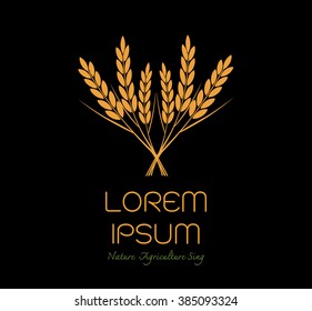 grain organic natural product with black background. concept vector illustration ,Rice gold logo vector design
