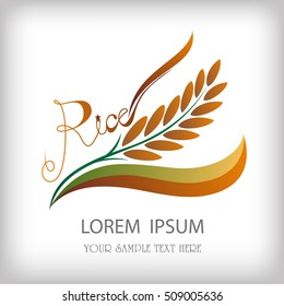 grain organic natural product with black background. concept vector illustration ,Rice gold logo vector design