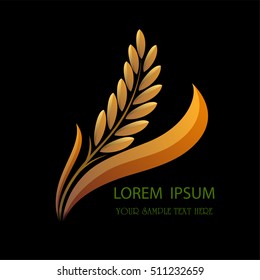 grain organic natural product with black background