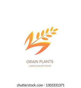 Grain plants logo sign concept. Rice, wheat, rye cereal icon. Vector design for organic flour package, bread label, bakery shop.