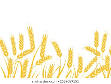 grão, centeio, trigo - fundo, banner ilustração vetor