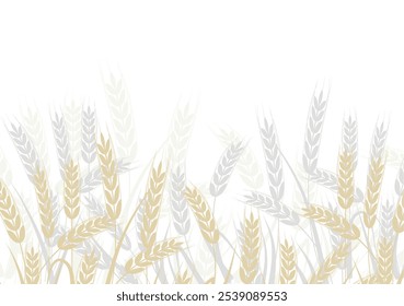 grão, centeio, trigo - fundo, banner ilustração vetor