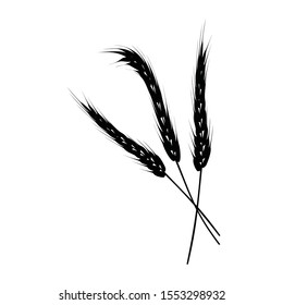 grain vector isolated on white background. rice icon. peasant or food symbol