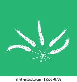 grain vector isolated. set rice design 
