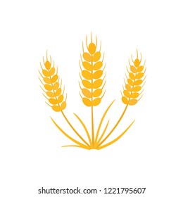 Grain, wheat icon. Vector illustration on white isolated background