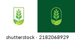 Grain Wheat Logo Concept sign icon symbol Design. Grain Wheat Leaf Logo . Vector illustration logo template Design
