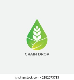 Símbolo del icono Diseño del logotipo del concepto de trigo con grano. Logotipo de trigo con gota y hoja. Plantilla de logotipo de ilustración de vector