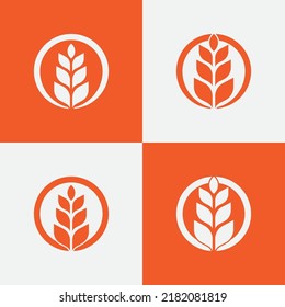 Grain Wheat Logo Concept sign icon symbol Design. Corn vector symbol . Vector illustration logo template