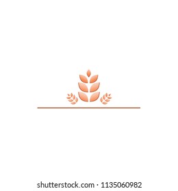 grain wheat logo design vector