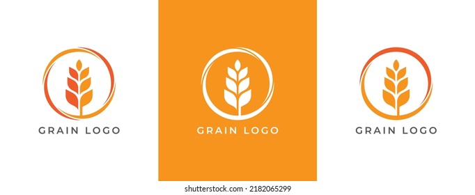 Grain Wheat Logo sign icon symbol Design. Vector illustration logo template Design