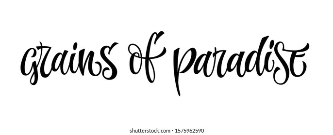 Grainf of paradise - vector hand drawn calligraphy style lettering word. Isolated script spice text label. Labels, shop design, cafe decore etc
